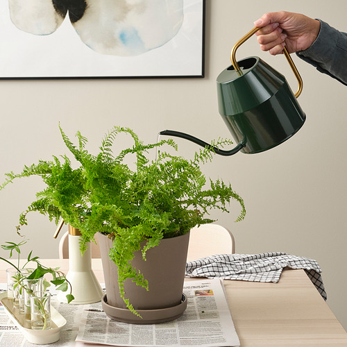 VATTENKRASSE, watering can