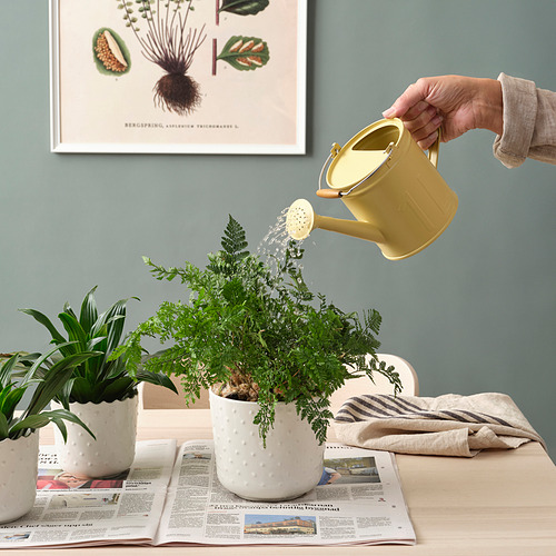 ÅKERBÄR, watering can