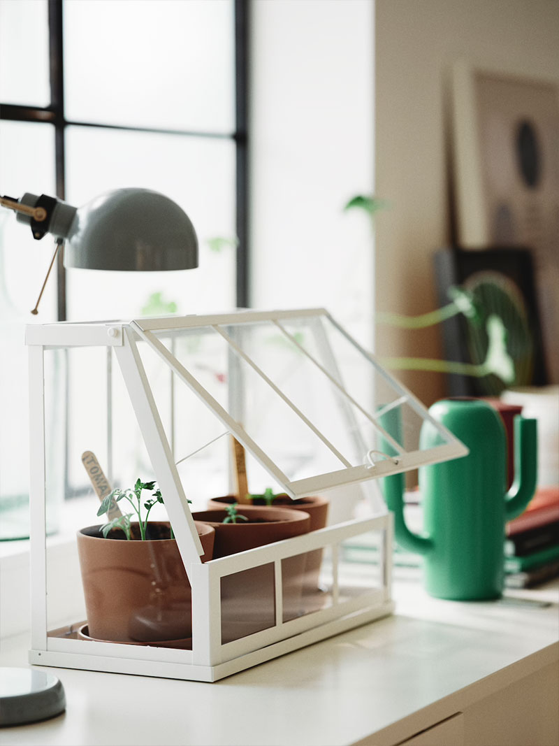 Growing plants inside and outdoors